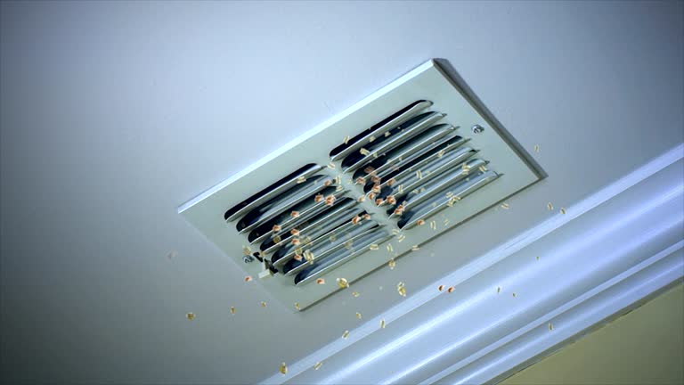 Best Air Duct Inspection  in Lexington, OK
