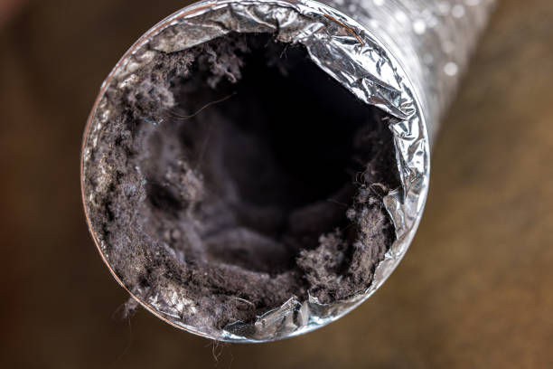 Best HVAC System Cleaning  in Lexington, OK