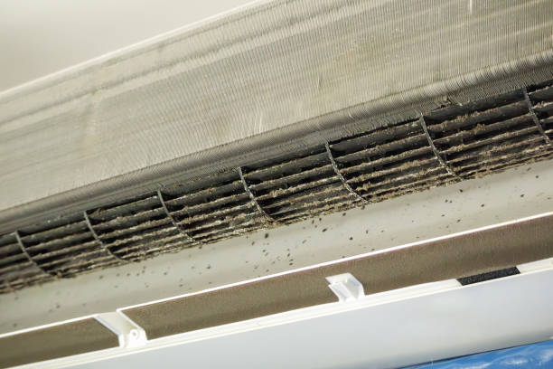 Best Emergency Air Duct Cleaning  in Lexington, OK